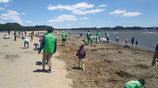 横浜海の公園での清掃ボランティア活動とビーチコーミング