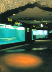 Sunshine International Aquarium in JPN