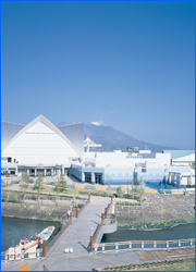 Kagoshima Aquarium in JPN