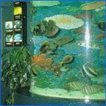 Aquariums