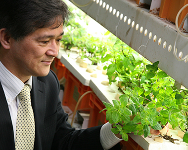 後藤英司氏 千葉大学大学院教授 に聞く 植物工場が開く未来 10人の識者が語る人 技術 社会 新菱冷熱工業株式会社