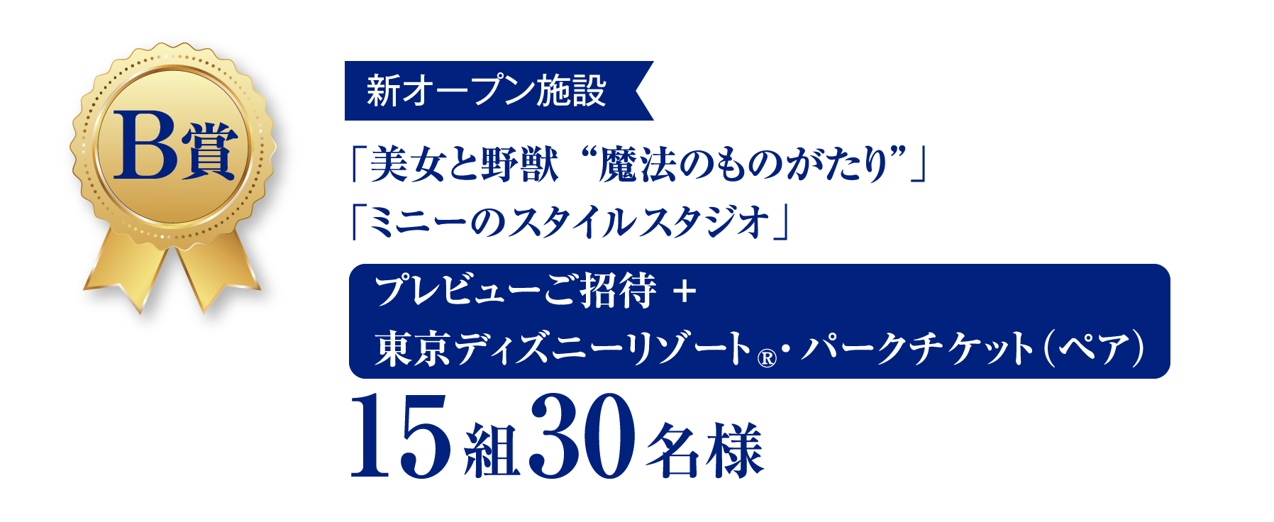 B賞　新オープン施設　「美女と野獣“魔法のものがたり”」「ミニーのスタイルスタジオ」　プレビューご招待 ＋ 東京ディズニーリゾートR・パークチケット（ペア）　15組30名様