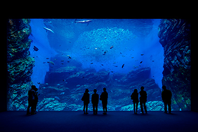 仙台うみの杜水族館